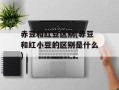赤豆和红豆区别(赤豆和红小豆的区别是什么)