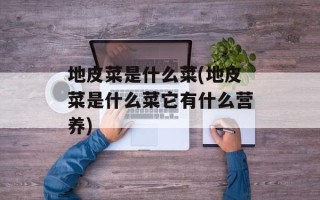 地皮菜是什么菜(地皮菜是什么菜它有什么营养)