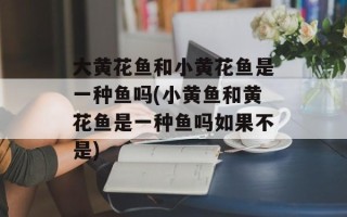 大黄花鱼和小黄花鱼是一种鱼吗(小黄鱼和黄花鱼是一种鱼吗如果不是)