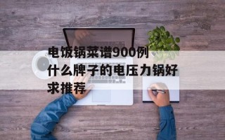 电饭锅菜谱900例 什么牌子的电压力锅好求推荐