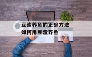 豆渣养鱼的正确方法 如何用豆渣养鱼