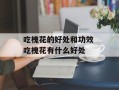 吃槐花的好处和功效 吃槐花有什么好处