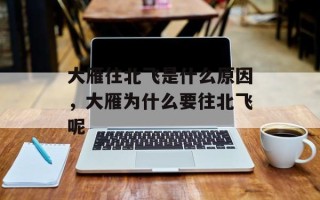 大雁往北飞是什么原因，大雁为什么要往北飞呢