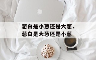 葱白是小葱还是大葱，葱白是大葱还是小葱