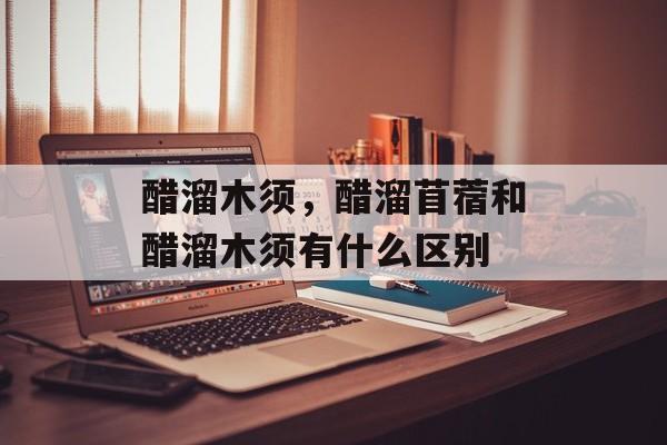 醋溜木须，醋溜苜蓿和醋溜木须有什么区别-第1张图片-