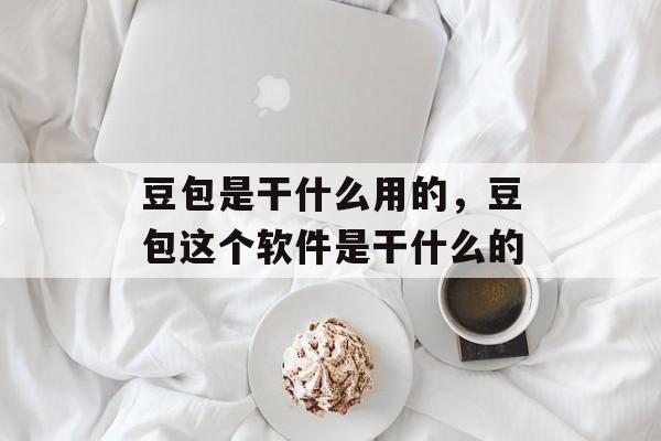 豆包是干什么用的，豆包这个软件是干什么的-第1张图片-