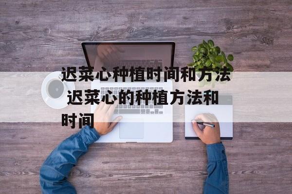 迟菜心种植时间和方法 迟菜心的种植方法和时间-第1张图片-