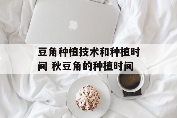 豆角种植技术和种植时间 秋豆角的种植时间-第1张图片-