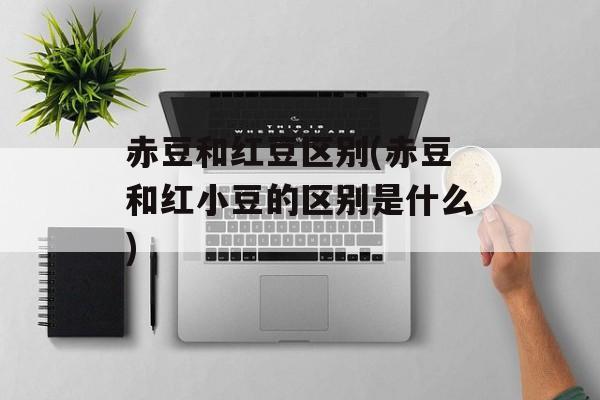 赤豆和红豆区别(赤豆和红小豆的区别是什么)-第1张图片-
