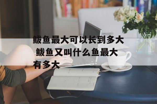 鲅鱼最大可以长到多大 鲅鱼又叫什么鱼最大有多大-第1张图片-