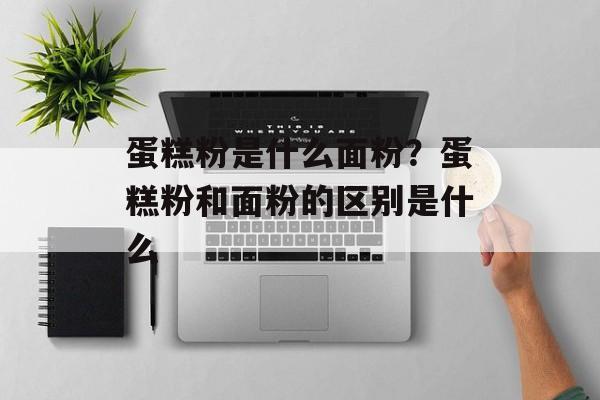 蛋糕粉是什么面粉？蛋糕粉和面粉的区别是什么-第1张图片-
