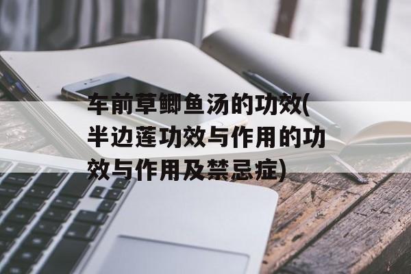 车前草鲫鱼汤的功效(半边莲功效与作用的功效与作用及禁忌症)-第1张图片-