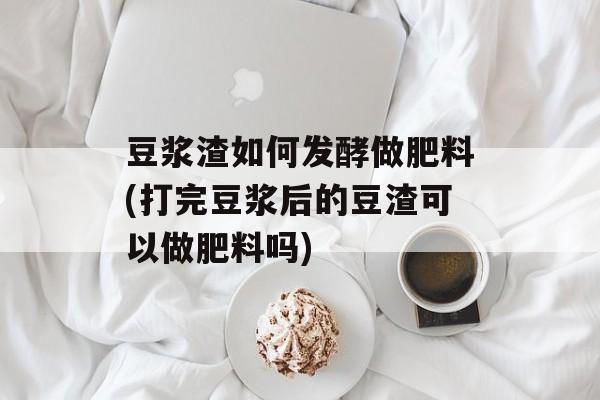 豆浆渣如何发酵做肥料(打完豆浆后的豆渣可以做肥料吗)-第1张图片-