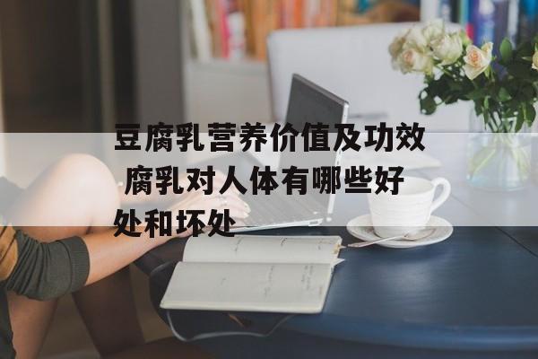 豆腐乳营养价值及功效 腐乳对人体有哪些好处和坏处-第1张图片-