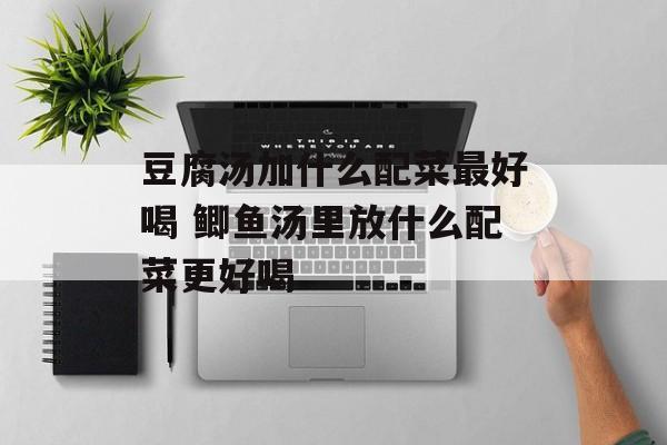 豆腐汤加什么配菜最好喝 鲫鱼汤里放什么配菜更好喝-第1张图片-