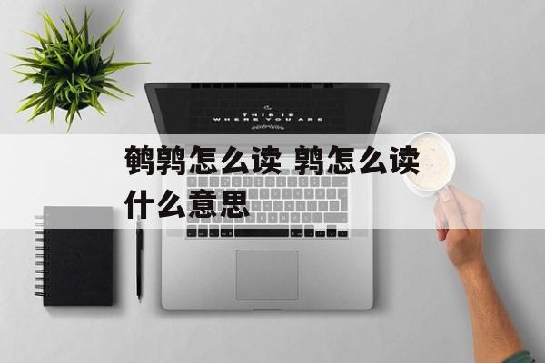 鹌鹑怎么读 鹑怎么读什么意思-第1张图片-