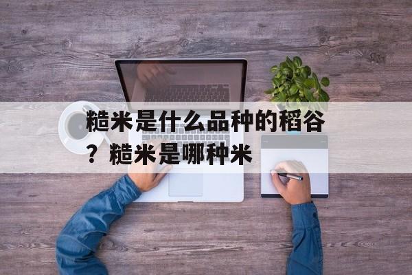糙米是什么品种的稻谷？糙米是哪种米-第1张图片-