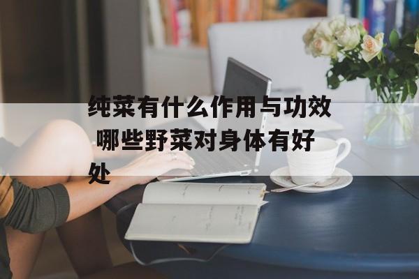 纯菜有什么作用与功效 哪些野菜对身体有好处-第1张图片-