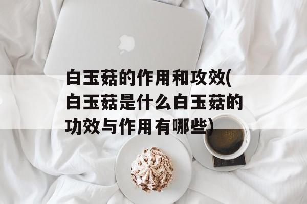 白玉菇的作用和攻效(白玉菇是什么白玉菇的功效与作用有哪些)-第1张图片-