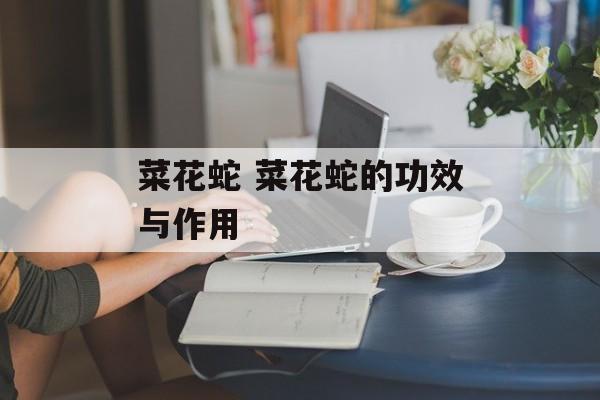 菜花蛇 菜花蛇的功效与作用-第1张图片-