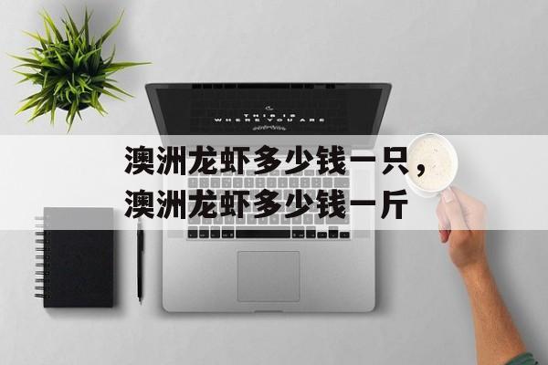 澳洲龙虾多少钱一只，澳洲龙虾多少钱一斤-第1张图片-