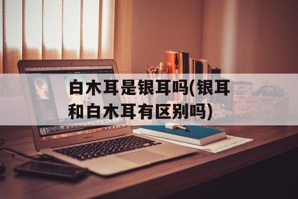 白木耳是银耳吗(银耳和白木耳有区别吗)-第1张图片-