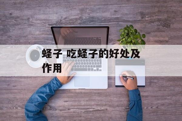 蛏子 吃蛏子的好处及作用-第1张图片-