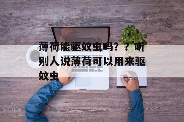 薄荷能驱蚊虫吗？？听别人说薄荷可以用来驱蚊虫-第1张图片-
