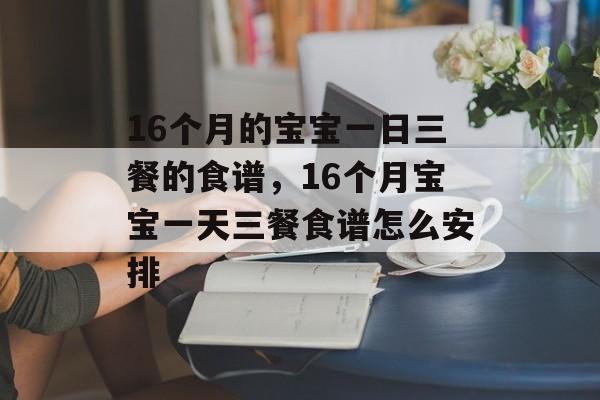 16个月的宝宝一日三餐的食谱，16个月宝宝一天三餐食谱怎么安排-第1张图片-