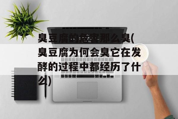 臭豆腐的危害那么臭(臭豆腐为何会臭它在发酵的过程中都经历了什么)-第1张图片-
