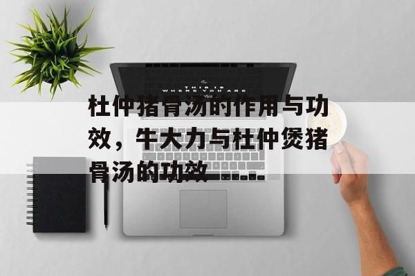 杜仲猪骨汤的作用与功效，牛大力与杜仲煲猪骨汤的功效-第1张图片-