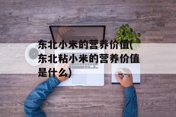 东北小米的营养价值(东北粘小米的营养价值是什么)-第1张图片-