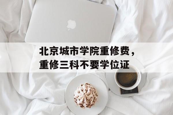 北京城市学院重修费，重修三科不要学位证-第1张图片-