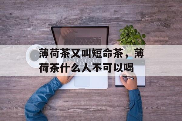 薄荷茶又叫短命茶，薄荷茶什么人不可以喝-第1张图片-