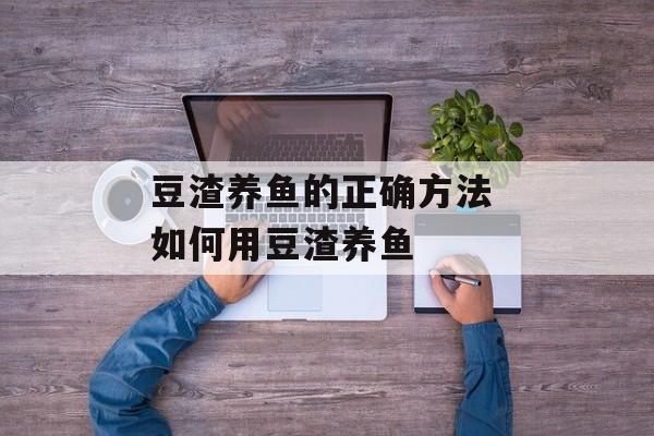 豆渣养鱼的正确方法 如何用豆渣养鱼-第1张图片-