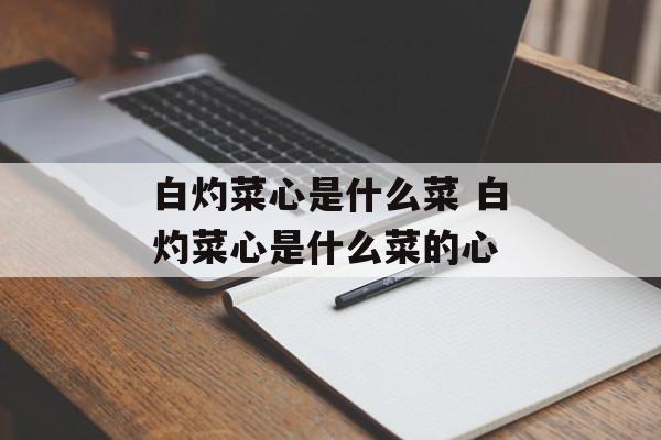 白灼菜心是什么菜 白灼菜心是什么菜的心-第1张图片-