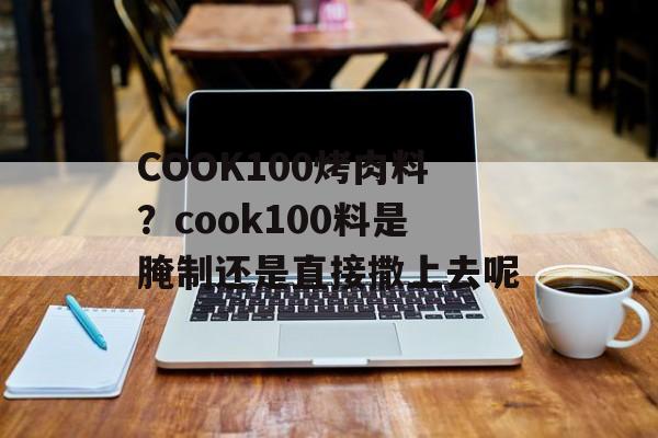 COOK100烤肉料？cook100料是腌制还是直接撒上去呢-第1张图片-