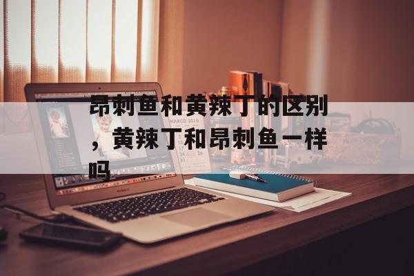 昂刺鱼和黄辣丁的区别，黄辣丁和昂刺鱼一样吗-第1张图片-
