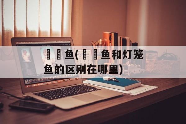 鮟鱇鱼(鮟鱇鱼和灯笼鱼的区别在哪里)-第1张图片-