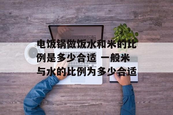 电饭锅做饭水和米的比例是多少合适 一般米与水的比例为多少合适-第1张图片-