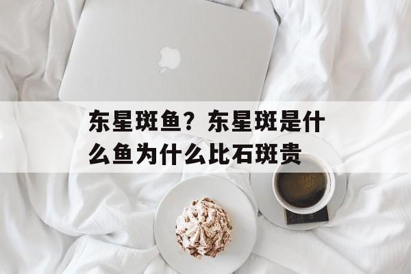 东星斑鱼？东星斑是什么鱼为什么比石斑贵-第1张图片-