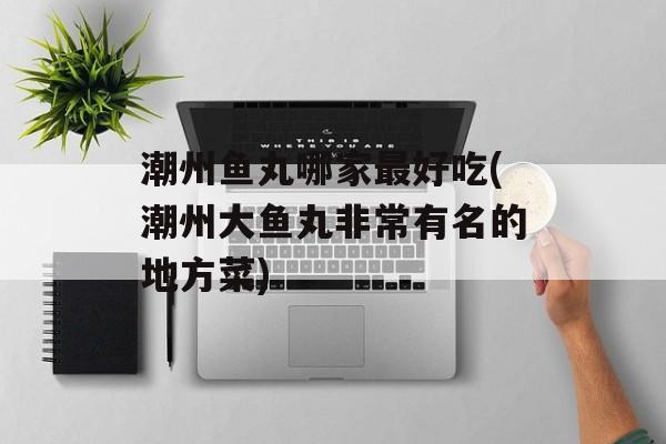 潮州鱼丸哪家最好吃(潮州大鱼丸非常有名的地方菜)-第1张图片-