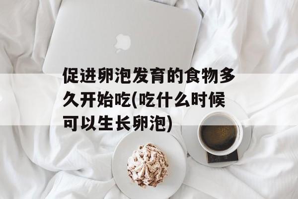 促进卵泡发育的食物多久开始吃(吃什么时候可以生长卵泡)-第1张图片-