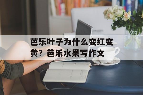 芭乐叶子为什么变红变黄？芭乐水果写作文-第1张图片-