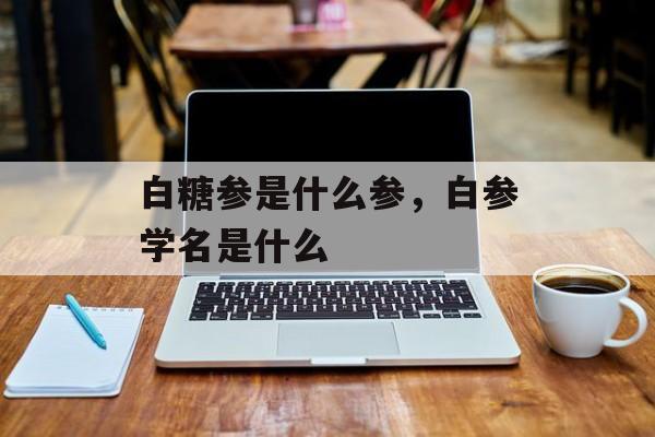 白糖参是什么参，白参学名是什么-第1张图片-