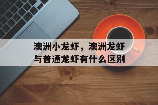 澳洲小龙虾，澳洲龙虾与普通龙虾有什么区别-第1张图片-