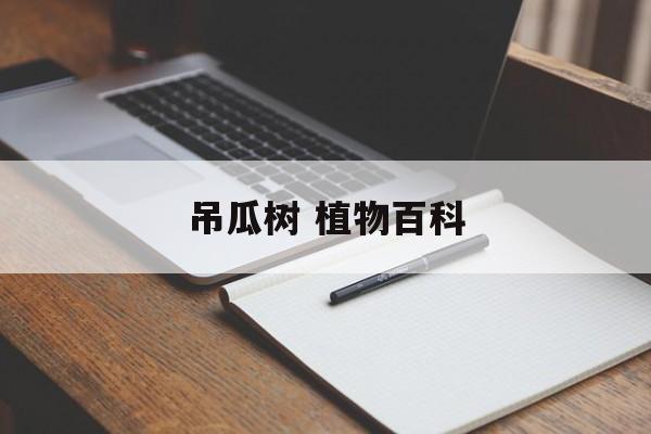 吊瓜树 植物百科-第1张图片-