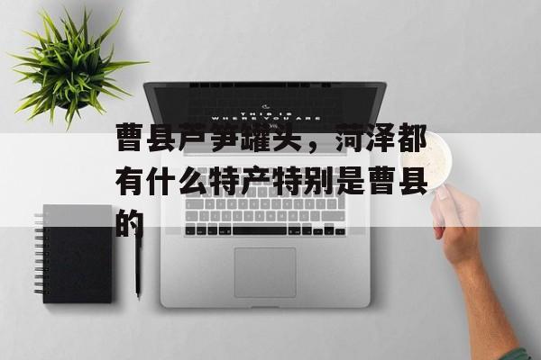 曹县芦笋罐头，菏泽都有什么特产特别是曹县的-第1张图片-