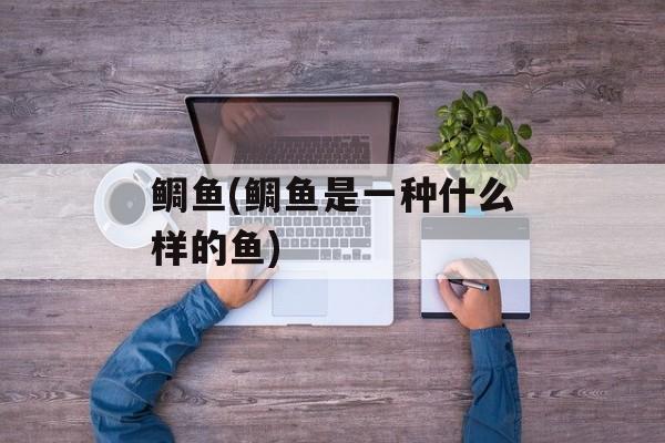 鲷鱼(鲷鱼是一种什么样的鱼)-第1张图片-