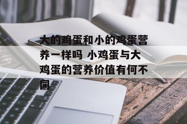 大的鸡蛋和小的鸡蛋营养一样吗 小鸡蛋与大鸡蛋的营养价值有何不同-第1张图片-